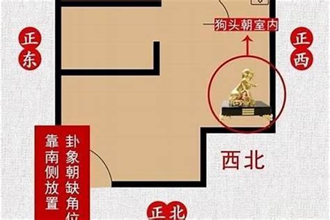 西北角 风水|房屋西北角适合放什么，房屋西北角摆放什么提升事业。